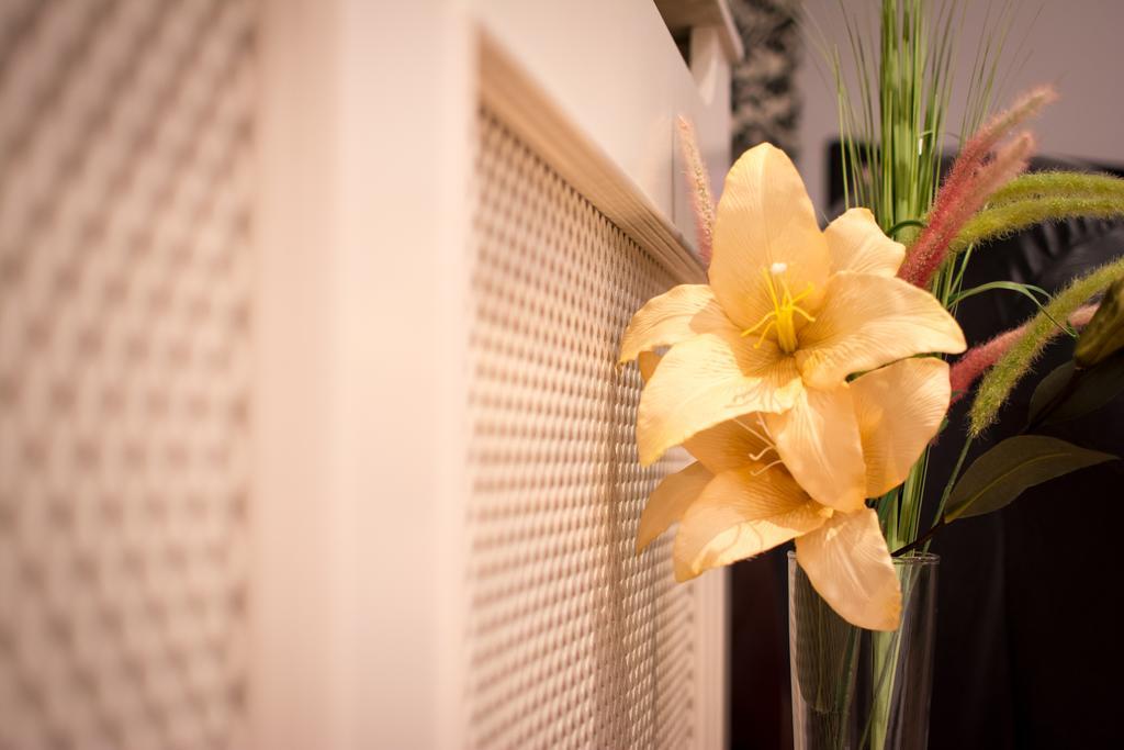 Apartment Stefanon 4 เบลเกรด ห้อง รูปภาพ